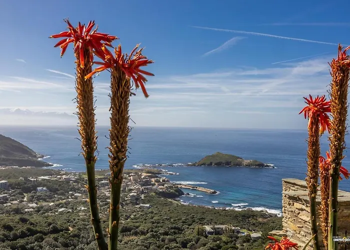 Villa Cecile Entre Ciel Et Méditerranée *
